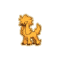 Gold Furfrou